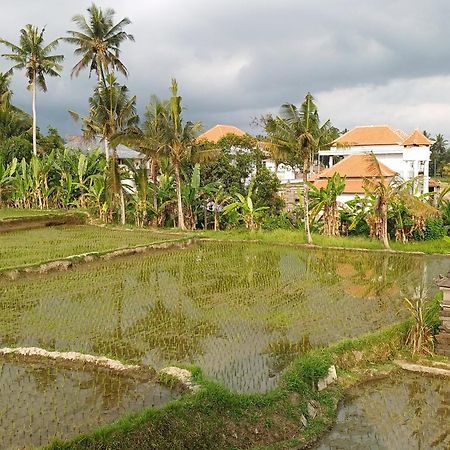 Villa Lanus Ubud Exteriér fotografie