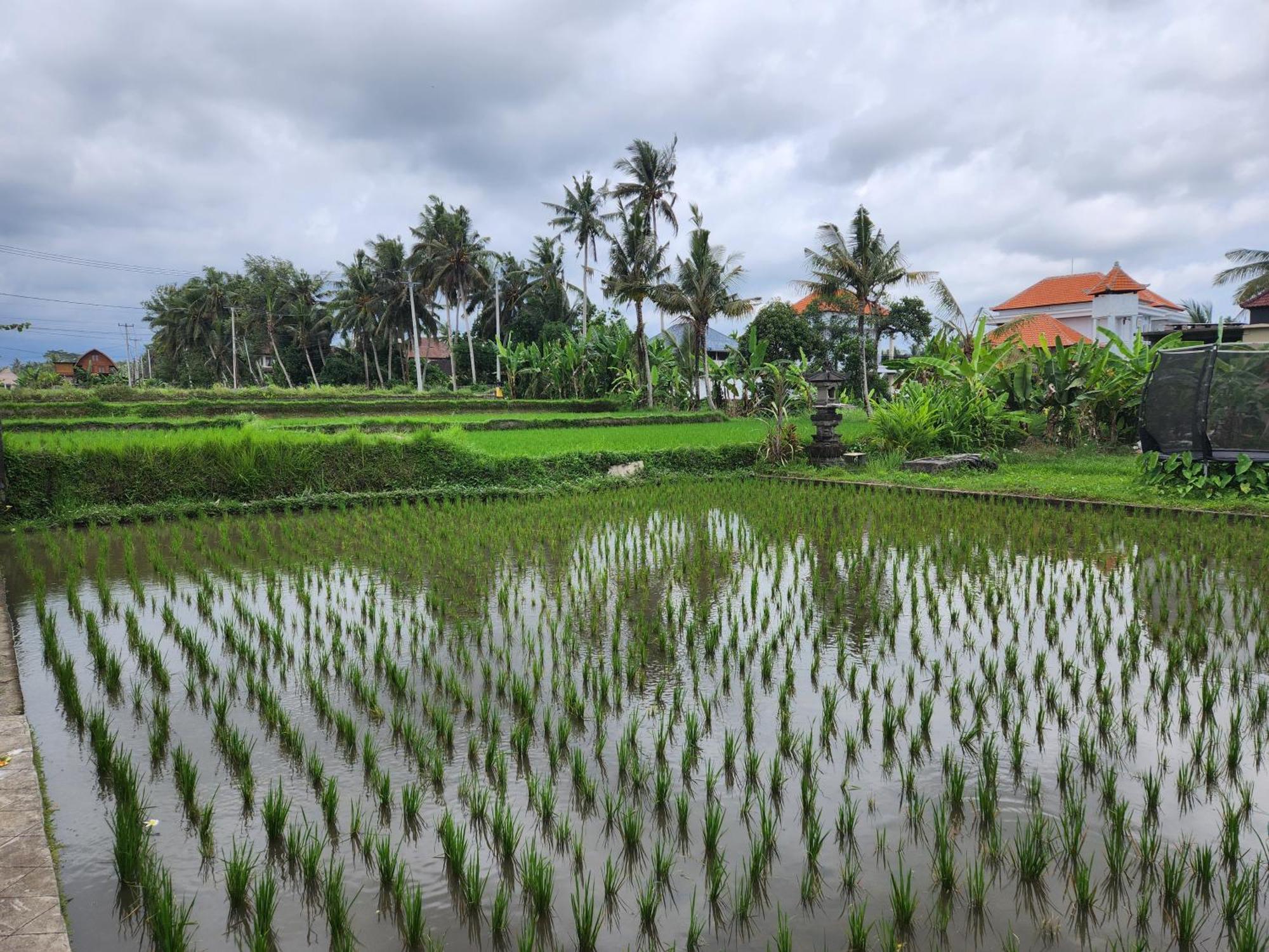 Villa Lanus Ubud Exteriér fotografie